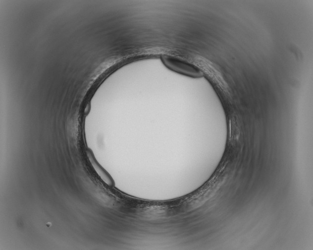X0000111780156200908201117