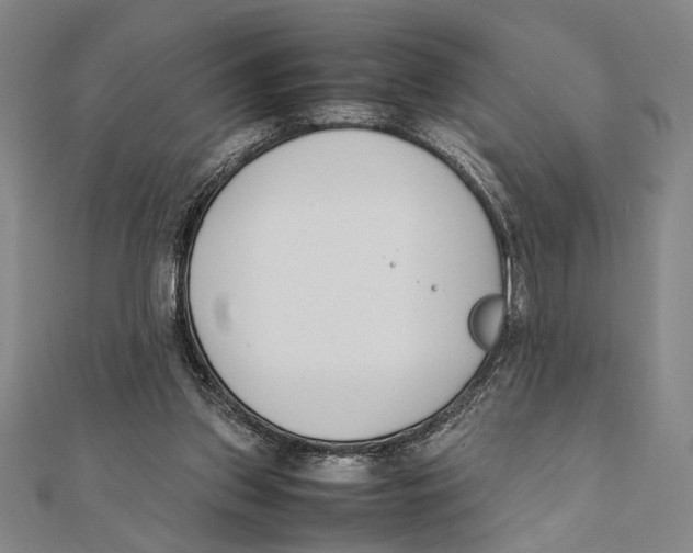 X0000111780157200908201117