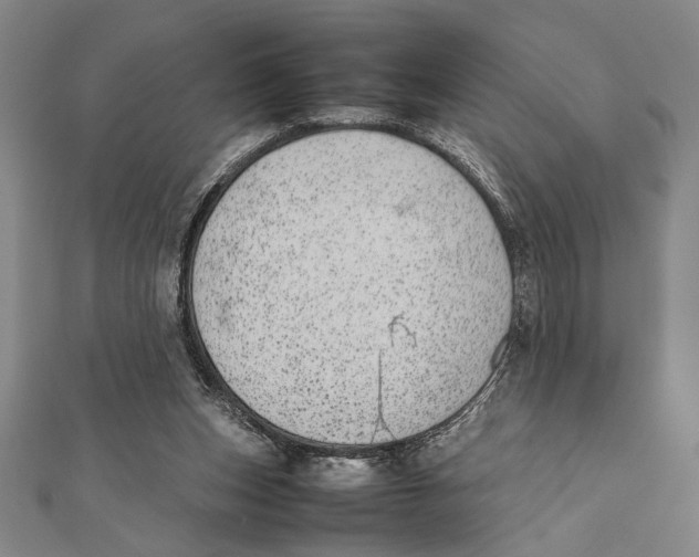 X0000111780159200908201117