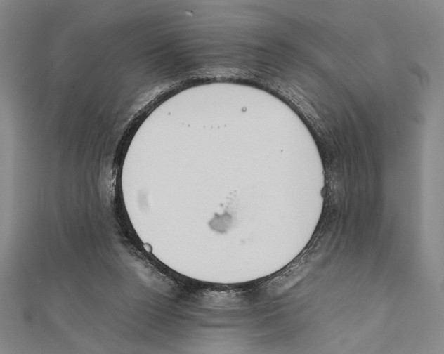 X0000111780160200908201117