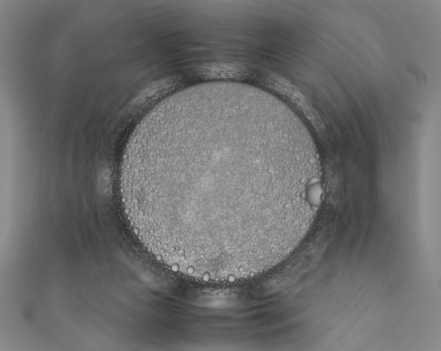 X0000111780161200908201117