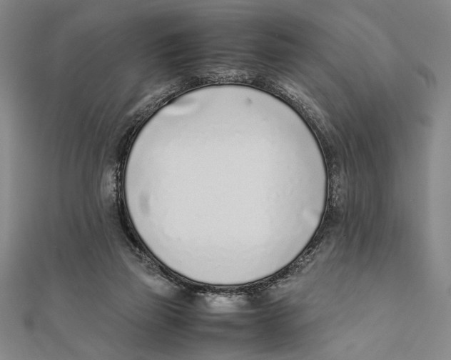 X0000111780165200908201117