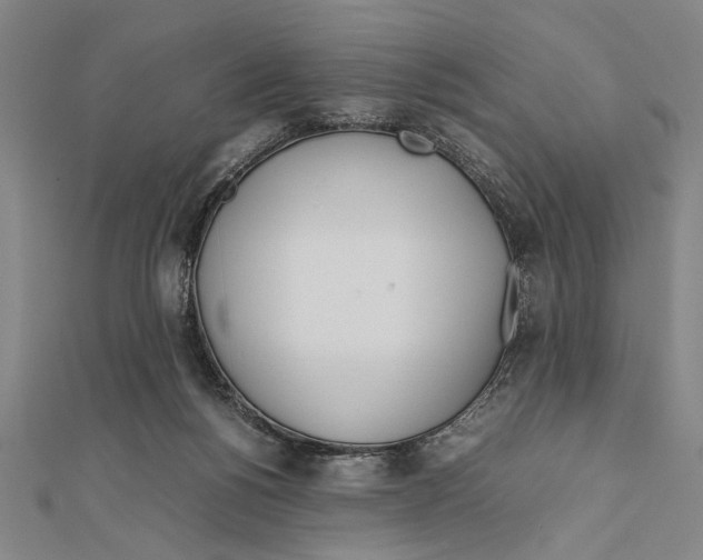X0000111780168200908201117