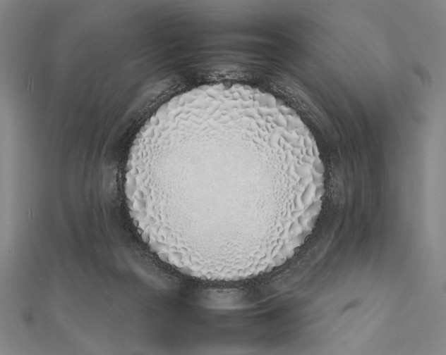 X0000111780169200908201117