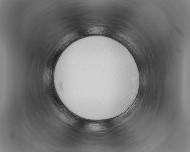 X0000111780171200908201117