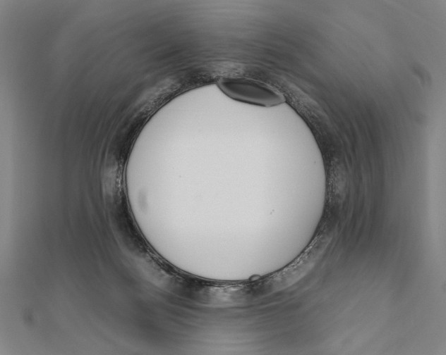 X0000111780172200908201117