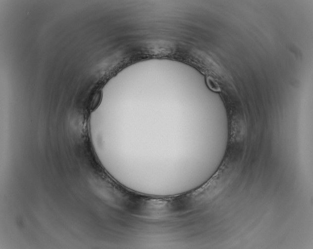 X0000111780176200908201117