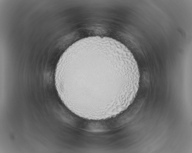 X0000111780177200908201117