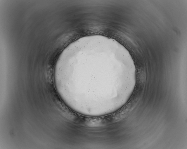 X0000111780181200908201117