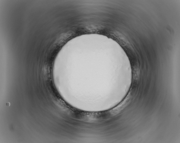 X0000111780182200908201117