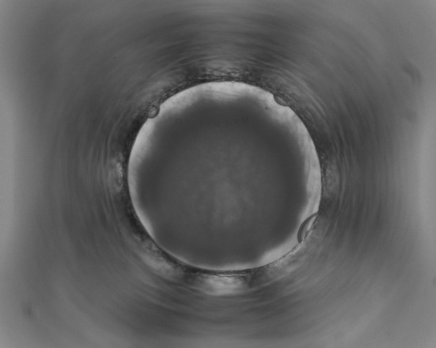 X0000111780183200908201117