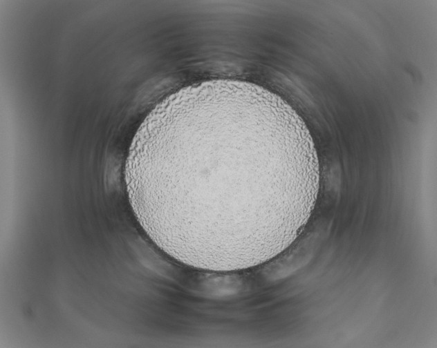 X0000111780185200908201117