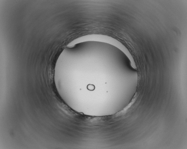 X0000111780186200908201117