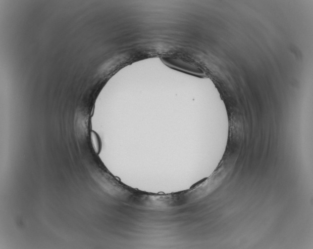 X0000111780188200908201117