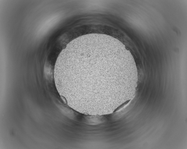 X0000111780191200908201117