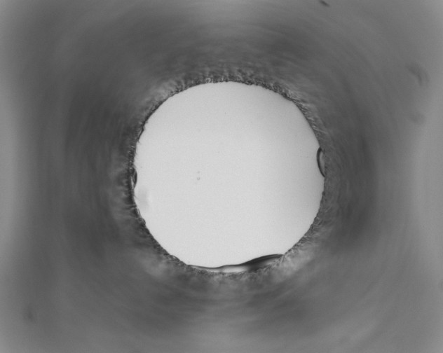 X0000111780192200908201117
