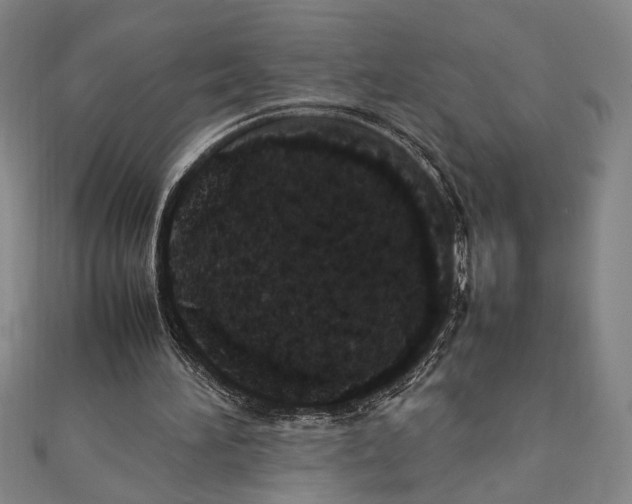 X0000111780196200908201117