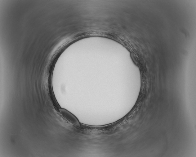X0000111780197200908201117