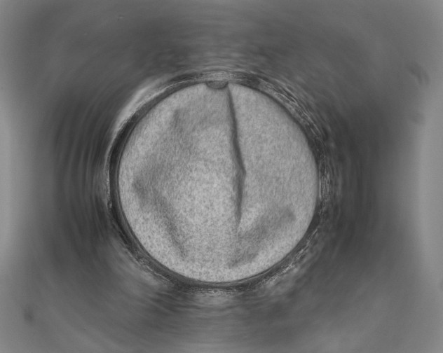 X0000111780198200908201117