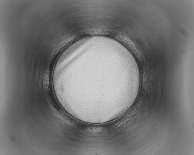 X0000111780202200908201117