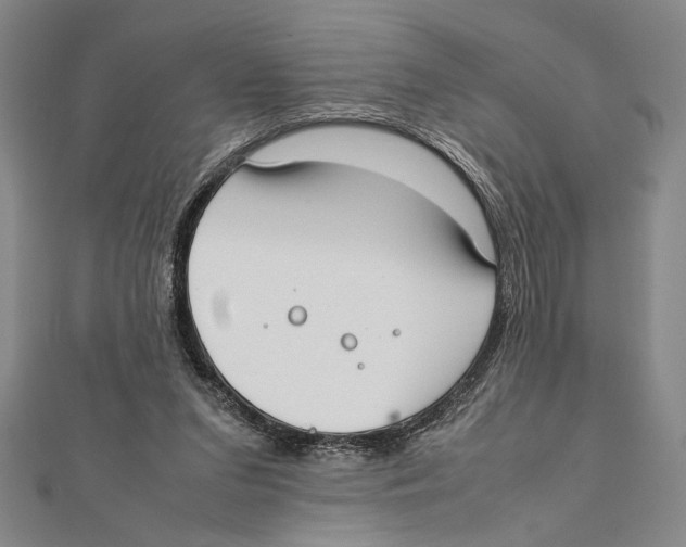 X0000111780207200908201117