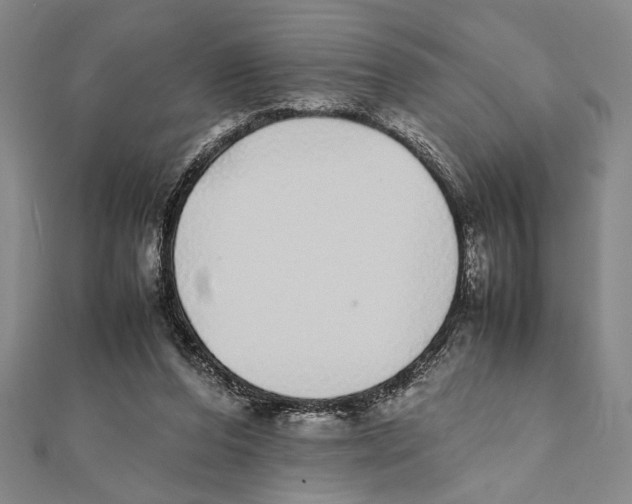 X0000111780208200908201117