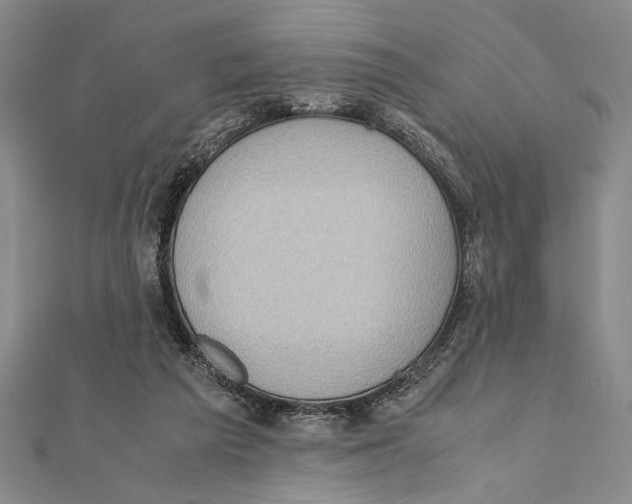 X0000111780209200908201117