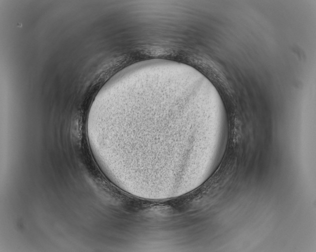X0000111780210200908201117