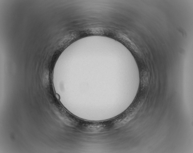 X0000111780213200908201117