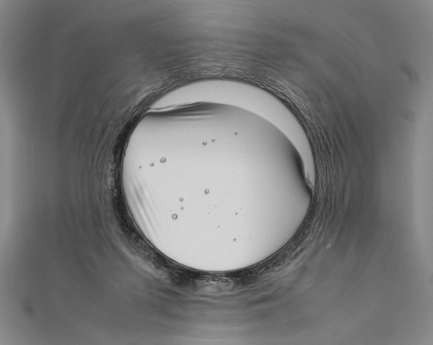 X0000111780215200908201117