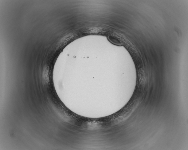 X0000111780216200908201117