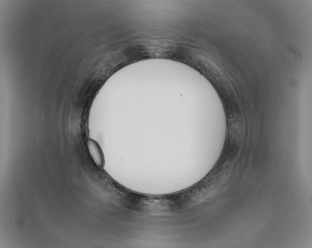 X0000111780221200908201116