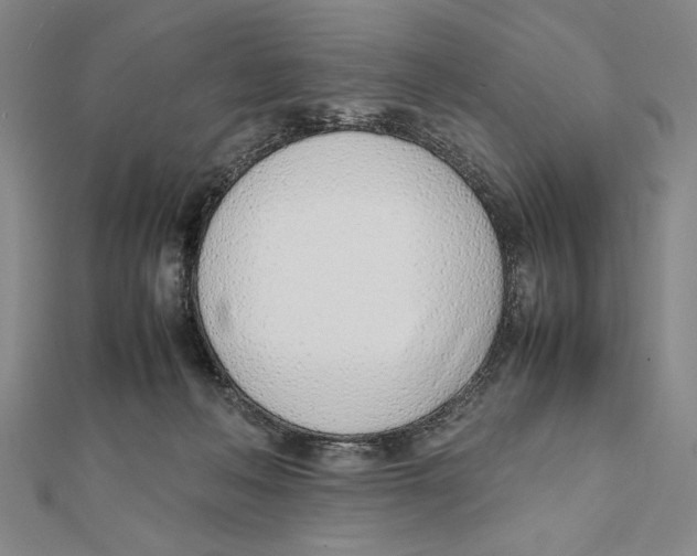 X0000111780222200908201116