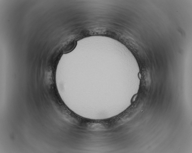 X0000111780224200908201116