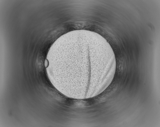 X0000111780226200908201116