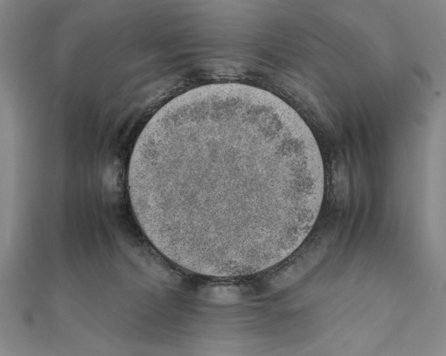 X0000111780228200908201116
