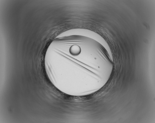 X0000111780229200908201116