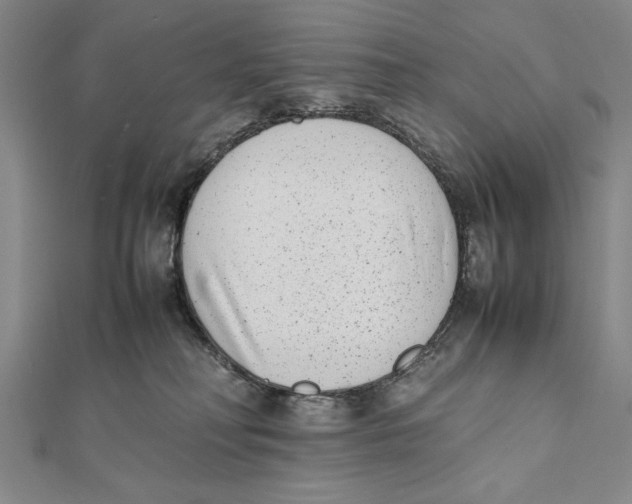 X0000111780230200908201116
