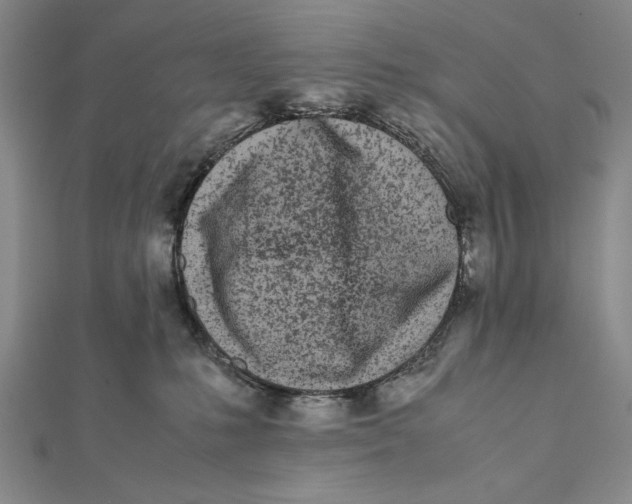 X0000111780231200908201116