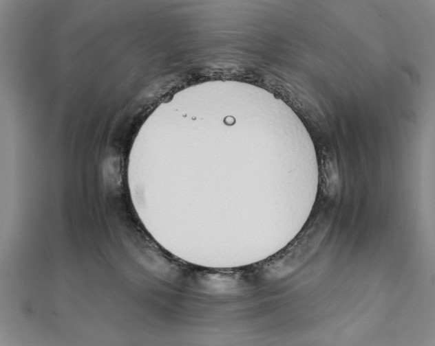 X0000111780232200908201116
