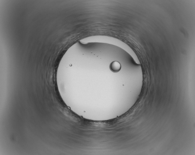 X0000111780233200908201116