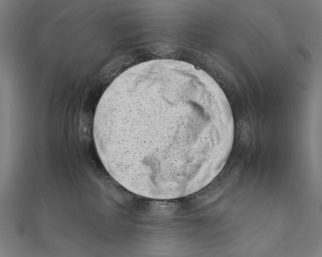 X0000111780234200908201116