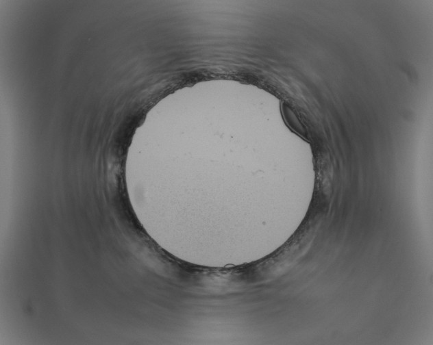 X0000111780235200908201116