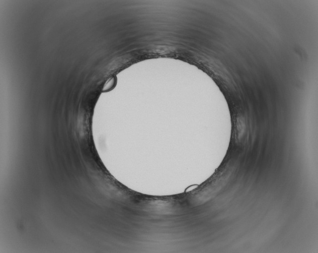 X0000111780236200908201116