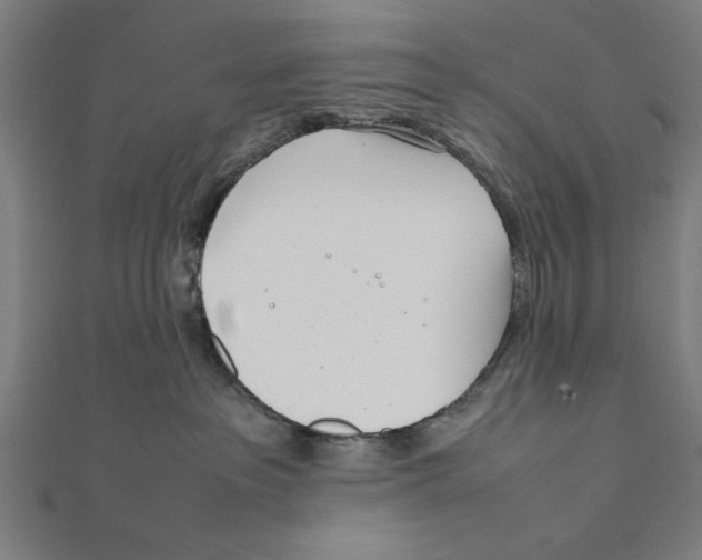 X0000111780237200908201116