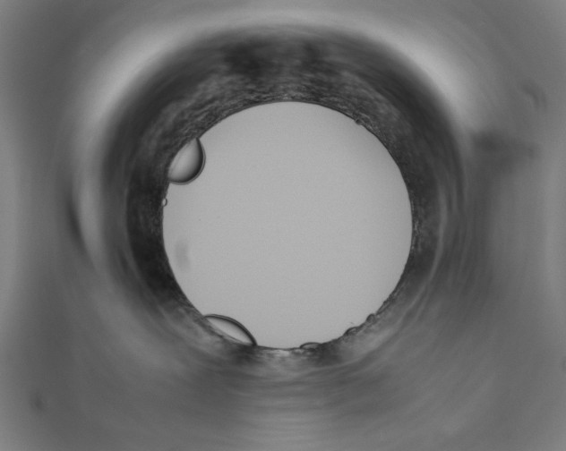 X0000111780239200908201116