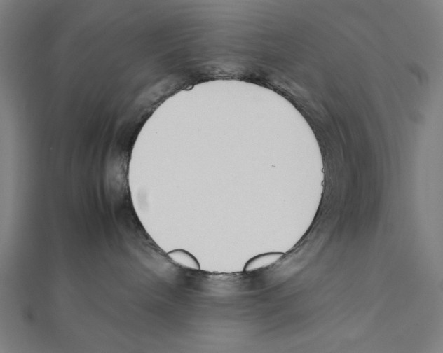 X0000111780240200908201116