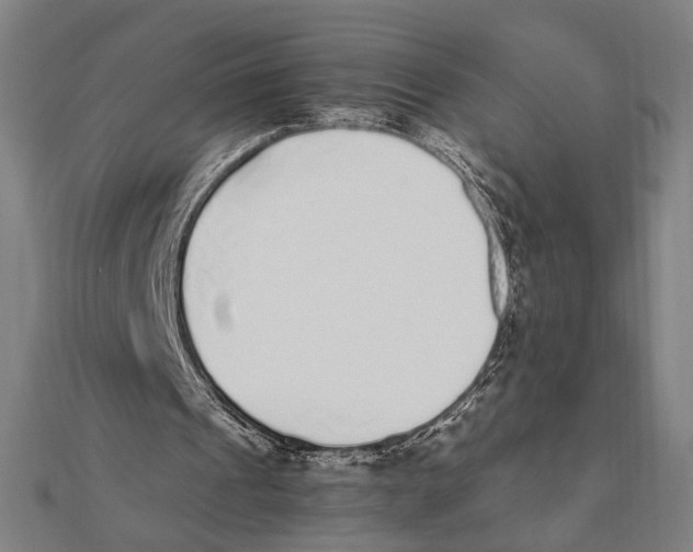 X0000111780241200908201115