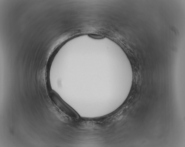X0000111780244200908201115
