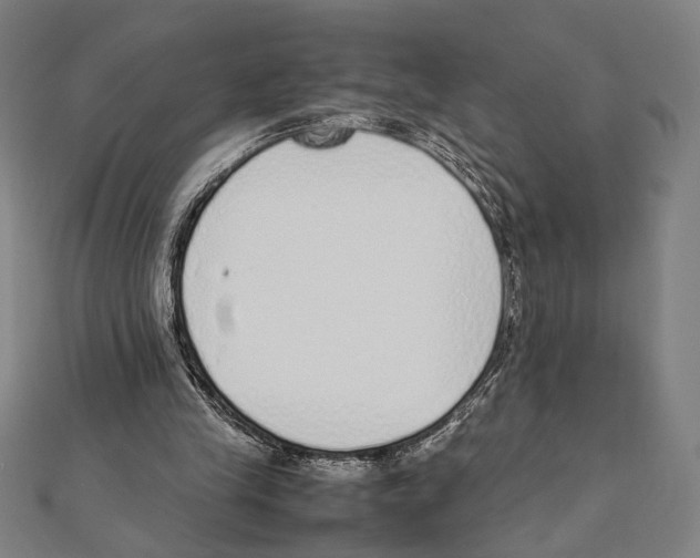 X0000111780245200908201116